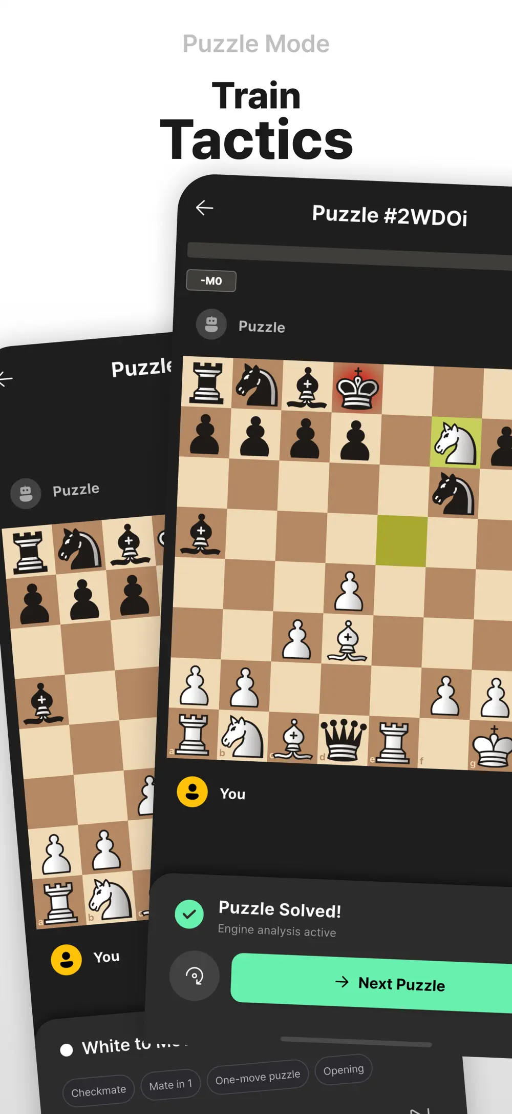Lina Chess screenshot 6