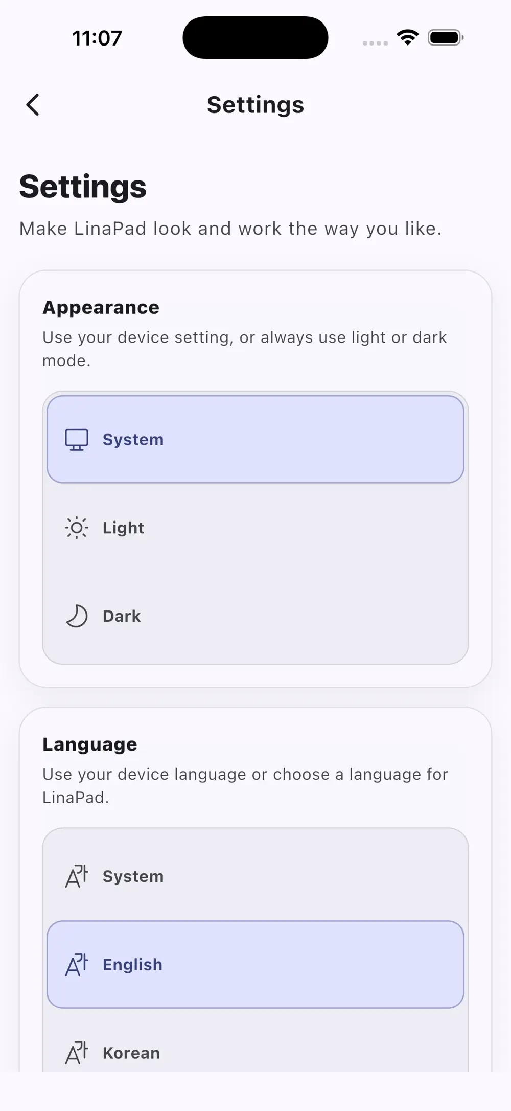 App settings for appearance and interface language